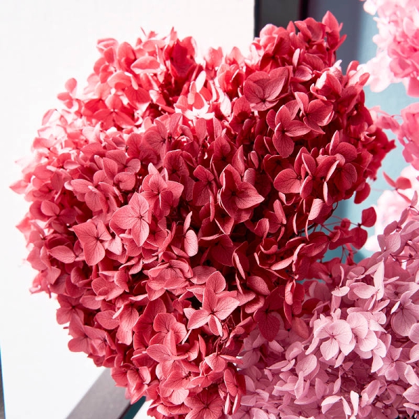 Hortensie Conservată Roșie – Decor Floral Natural Stabilizat